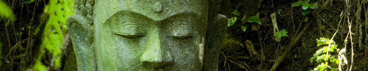 cropped-benefici_olistici_dello_yoga2.jpg